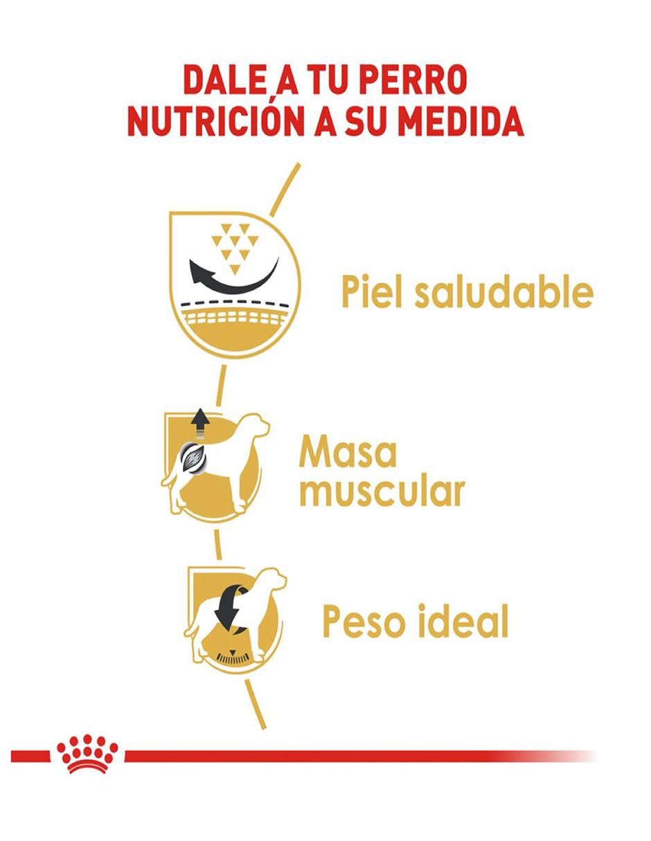 Croqueta Royal Canin de pollo para perro etapa adulto contenido 4.5 kg 5