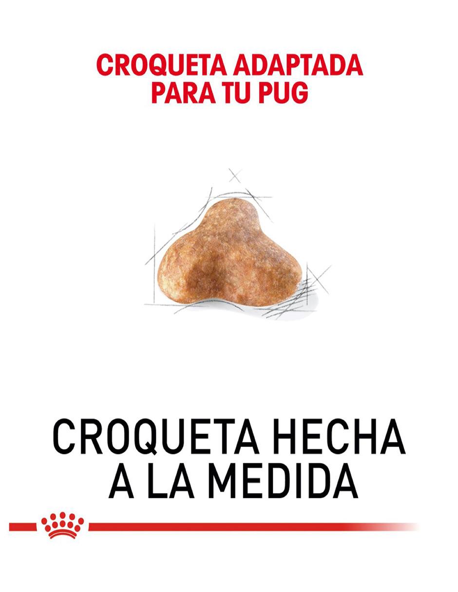 Croqueta Royal Canin de pollo para perro etapa adulto contenido 4.5 kg 4