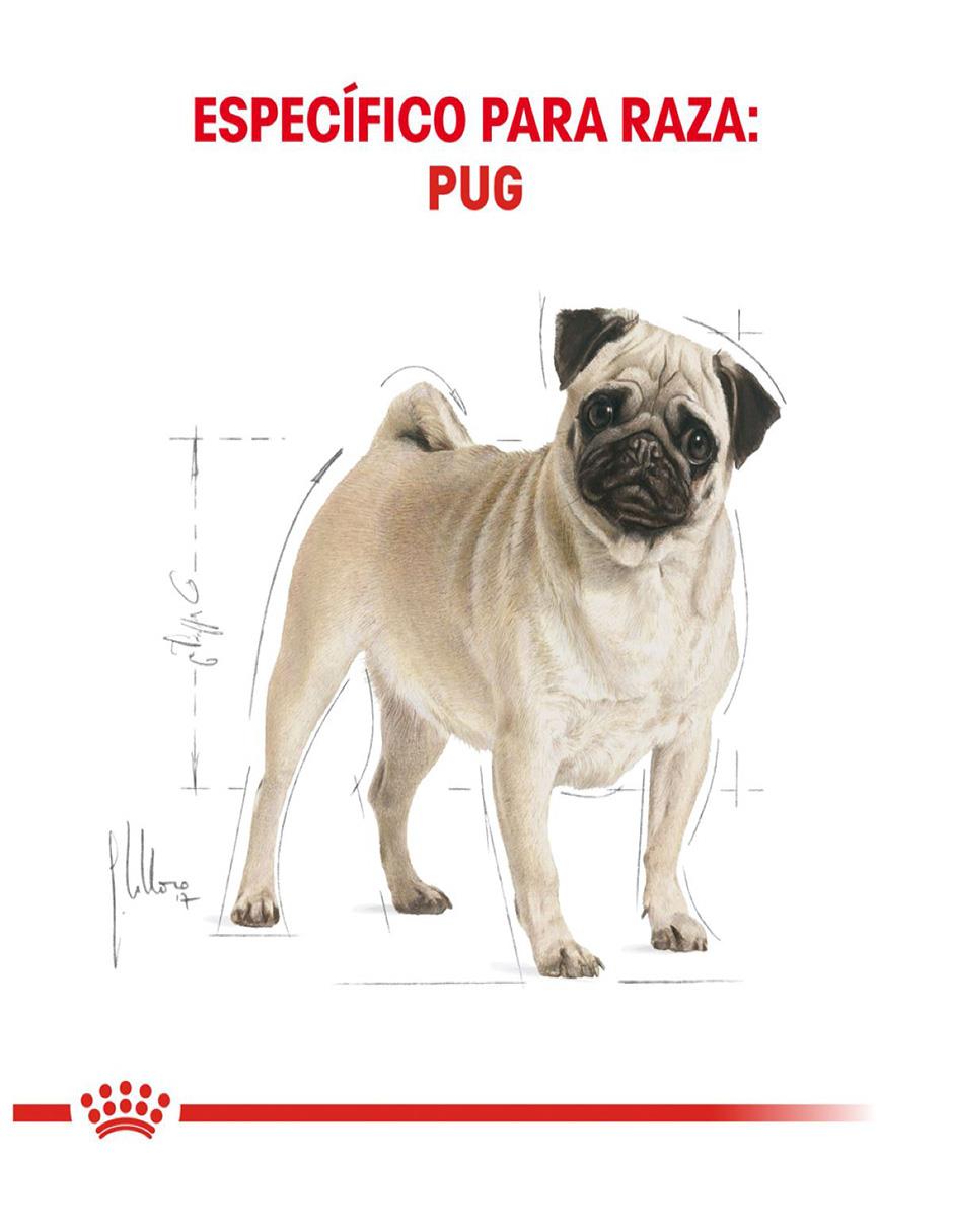 Croqueta Royal Canin de pollo para perro etapa adulto contenido 4.5 kg 2