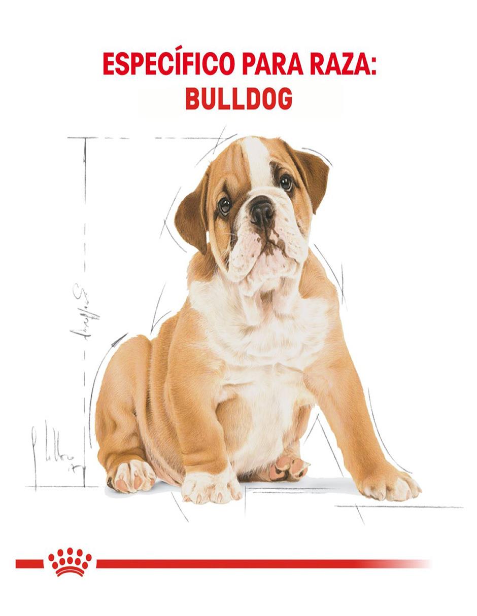Croqueta Royal Canin de pollo para perro etapa cachorro contenido 13.6 kg 4