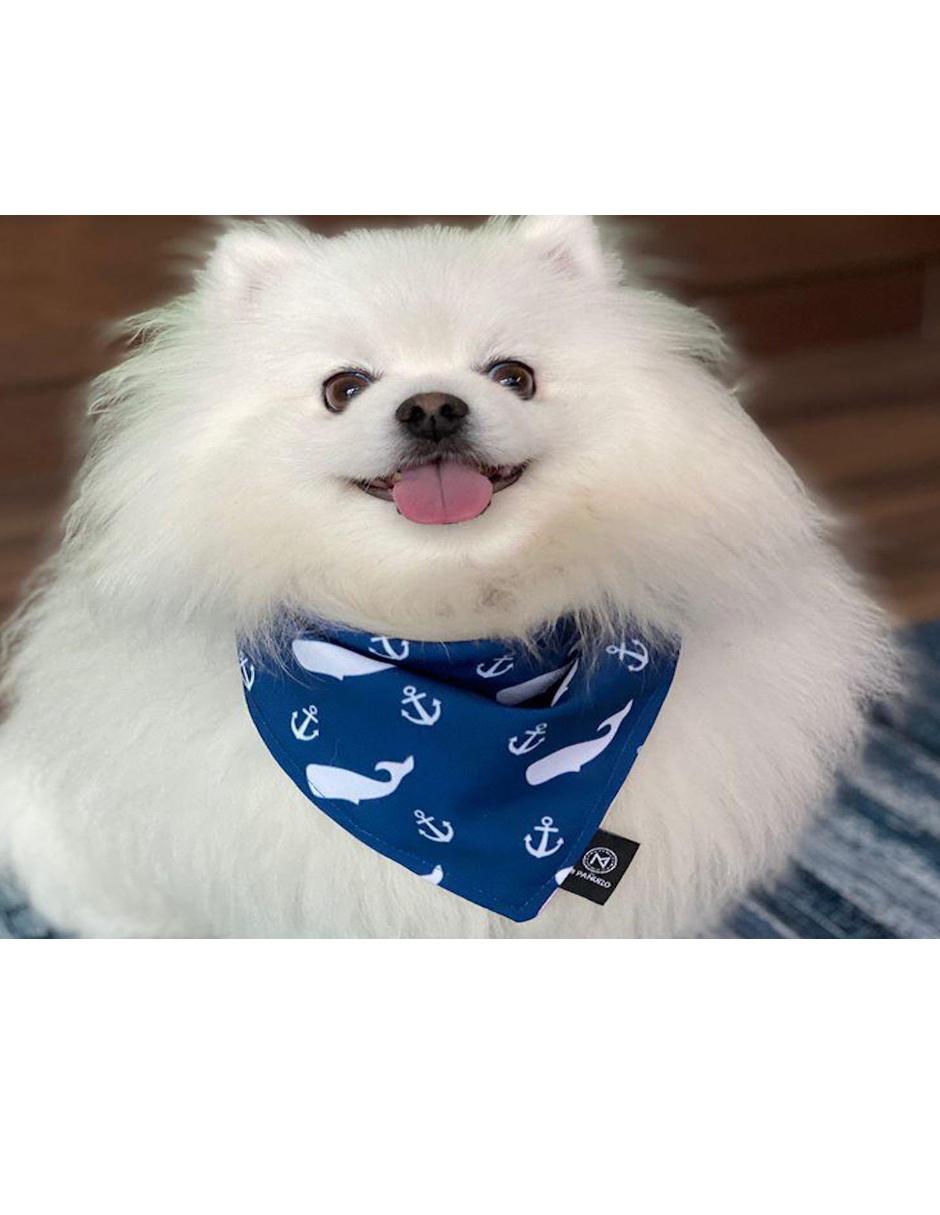 Pañuelo doble vista para Mascota Mi Pañuelo