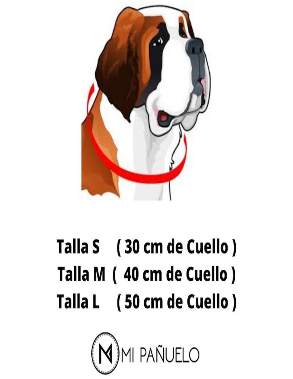 Combo para mascota Mi Pañuelo