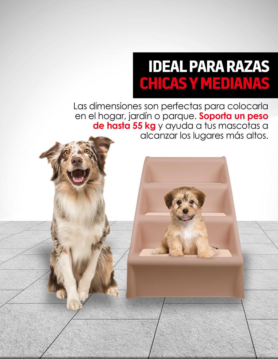 Escalera para mascota
