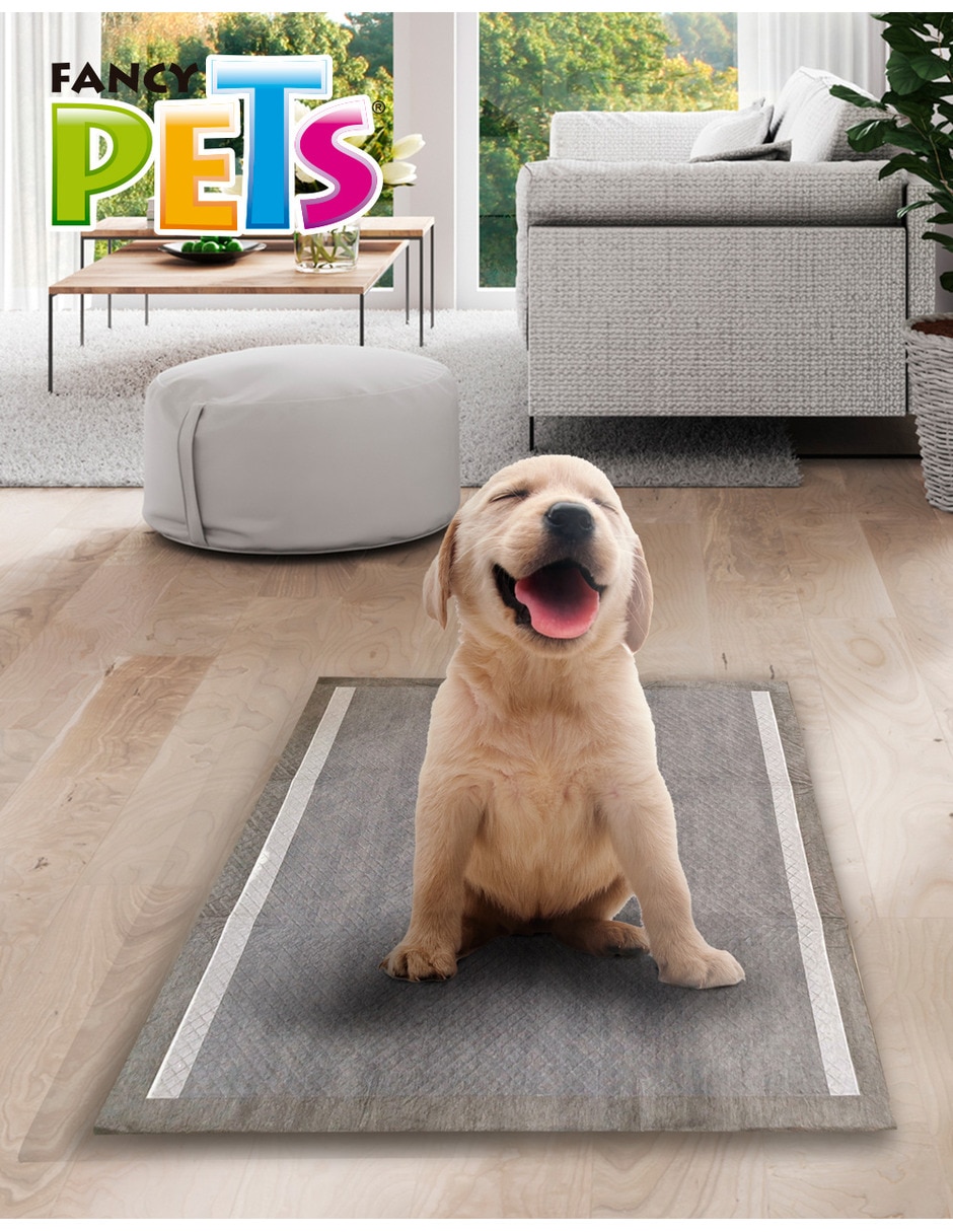 Tapete entrenador Soft Pad para perro