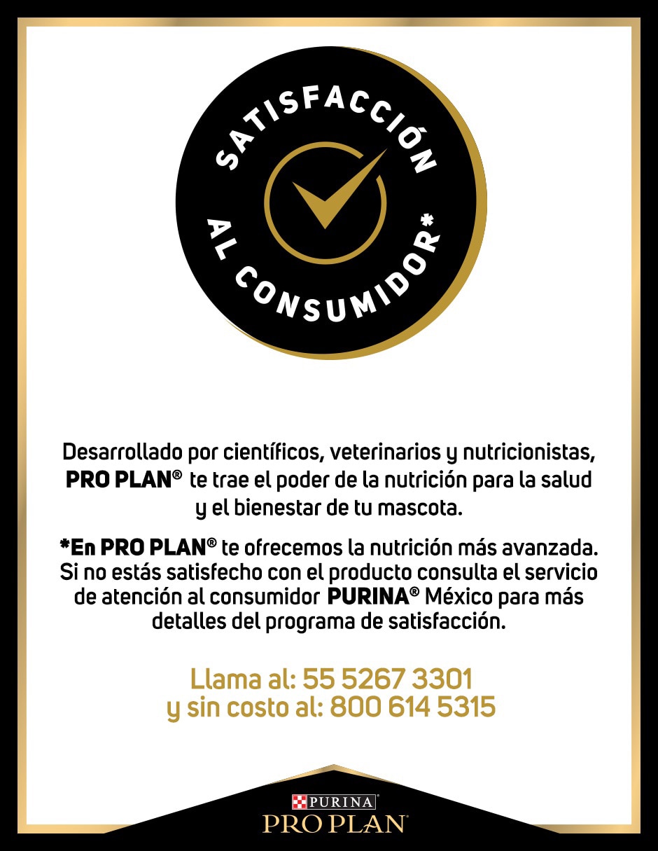 Croqueta Pro Plan de salmón para perro etapa adulto raza pequeña contenido 3 kg 3