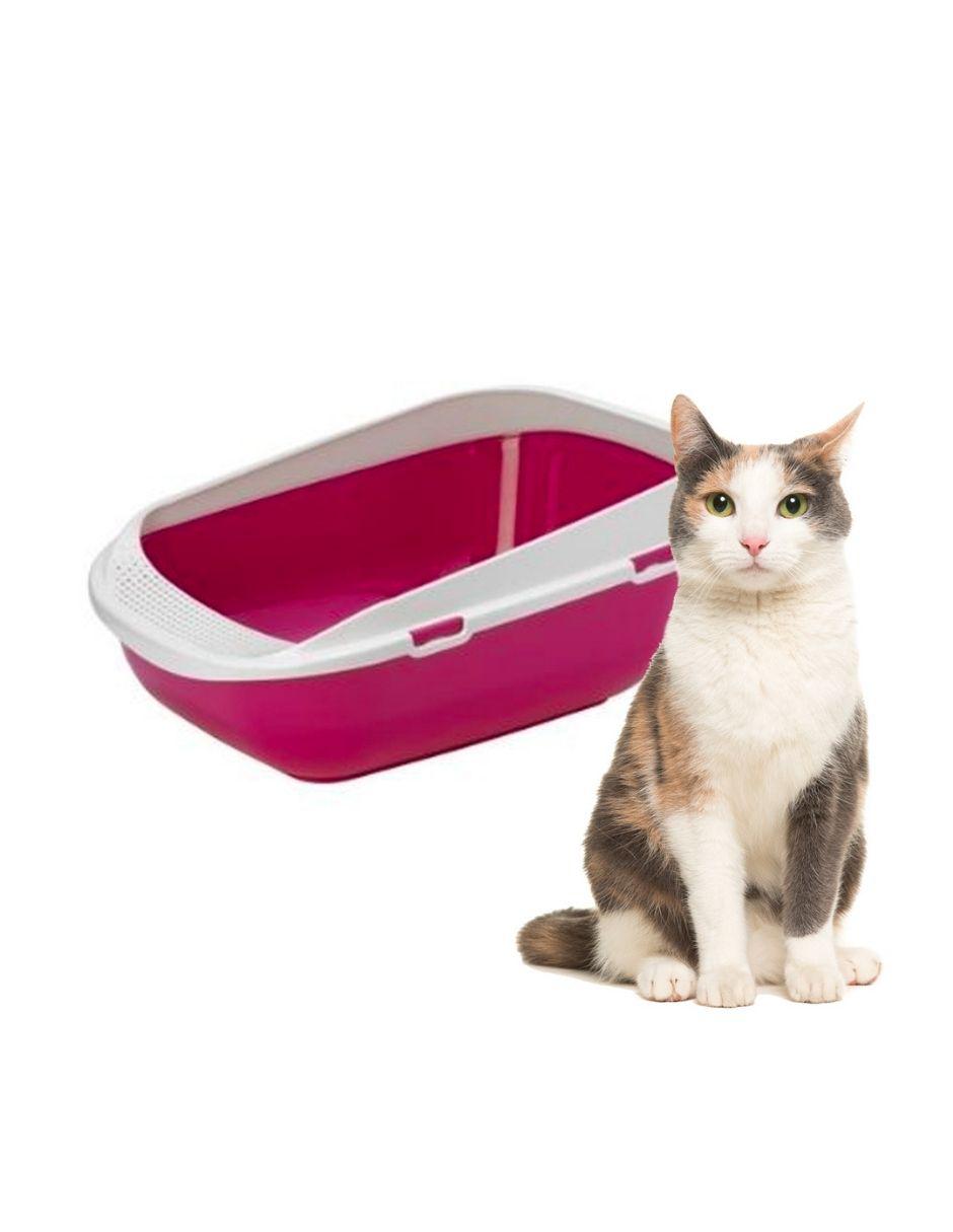 Arenero Moderna Mega Step para gato