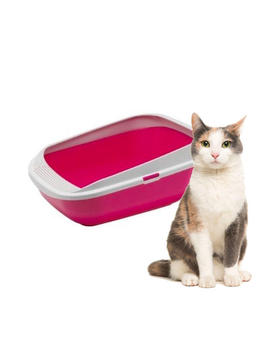 Arenero Moderna Comfy Step para gato