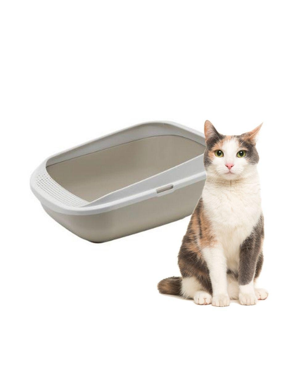 Arenero Moderna Comfy Step para gato