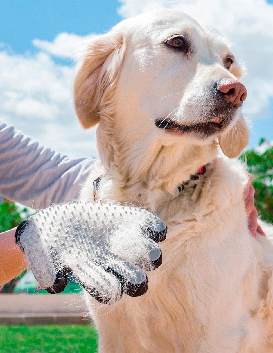 Guante para cepillar y masajear Innova Goods para perro y gato