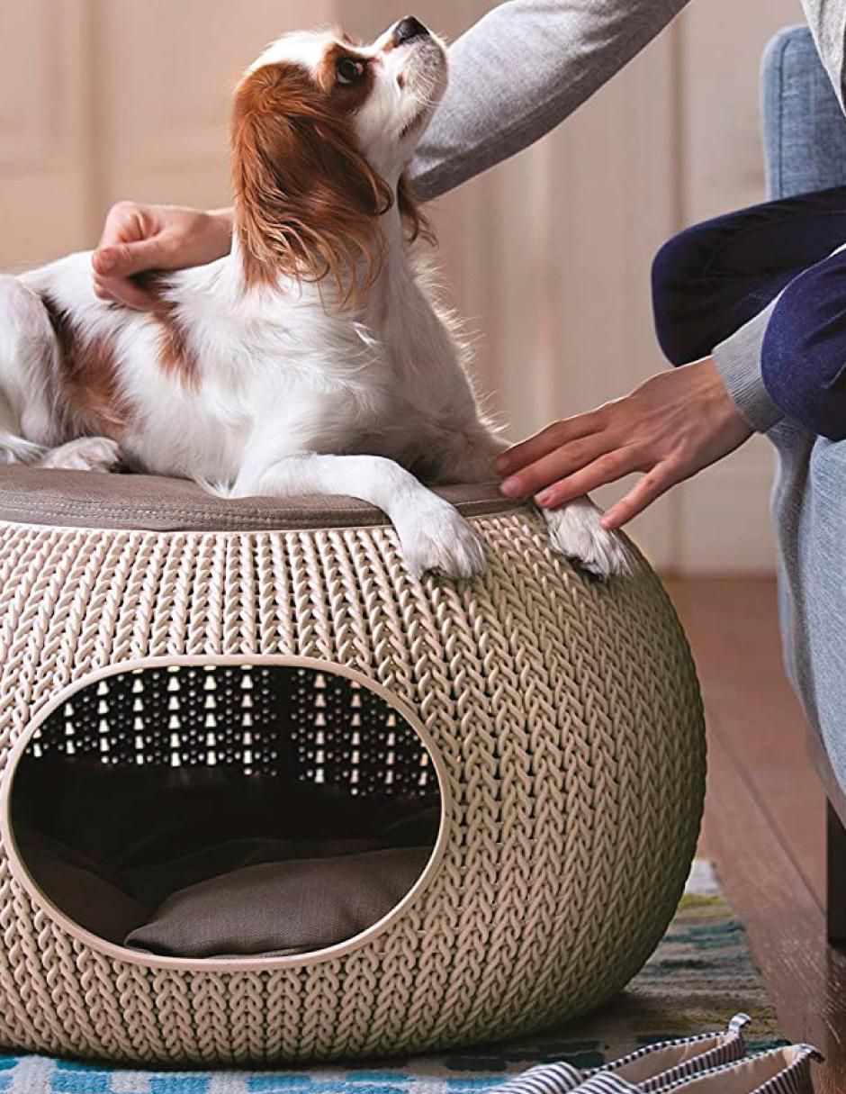 Cama para perro y gato