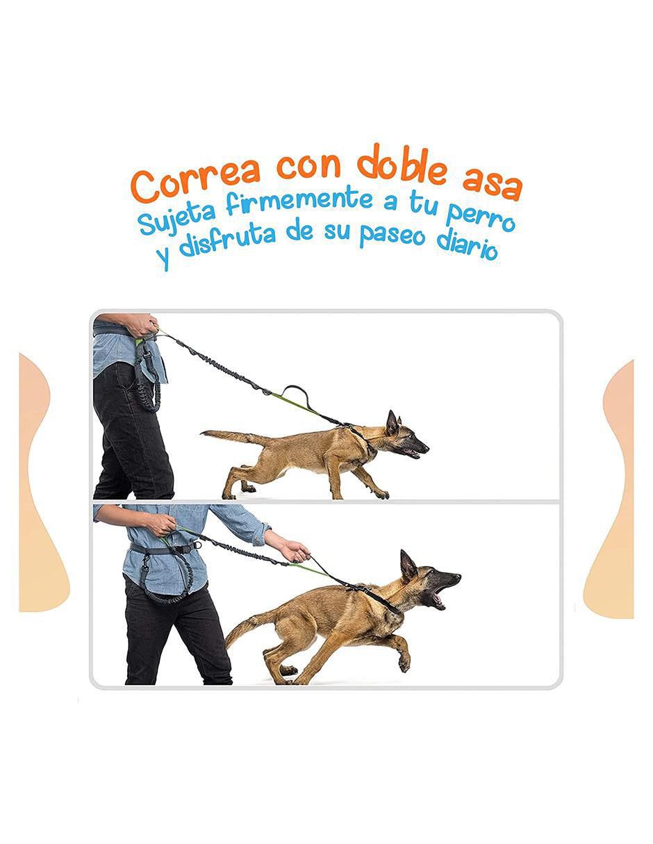 Correa plástico de entrenamiento para perro