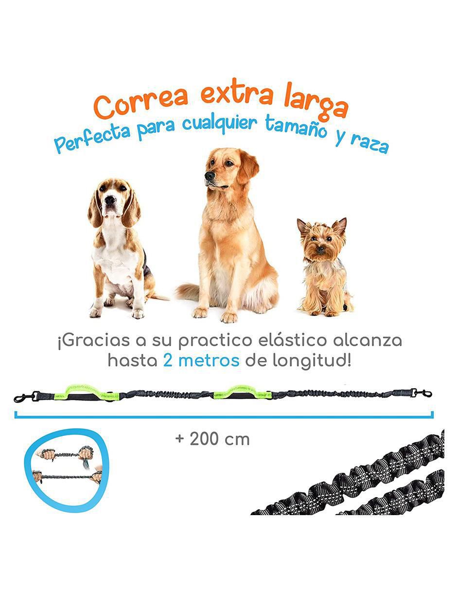 Correa plástico de entrenamiento para perro
