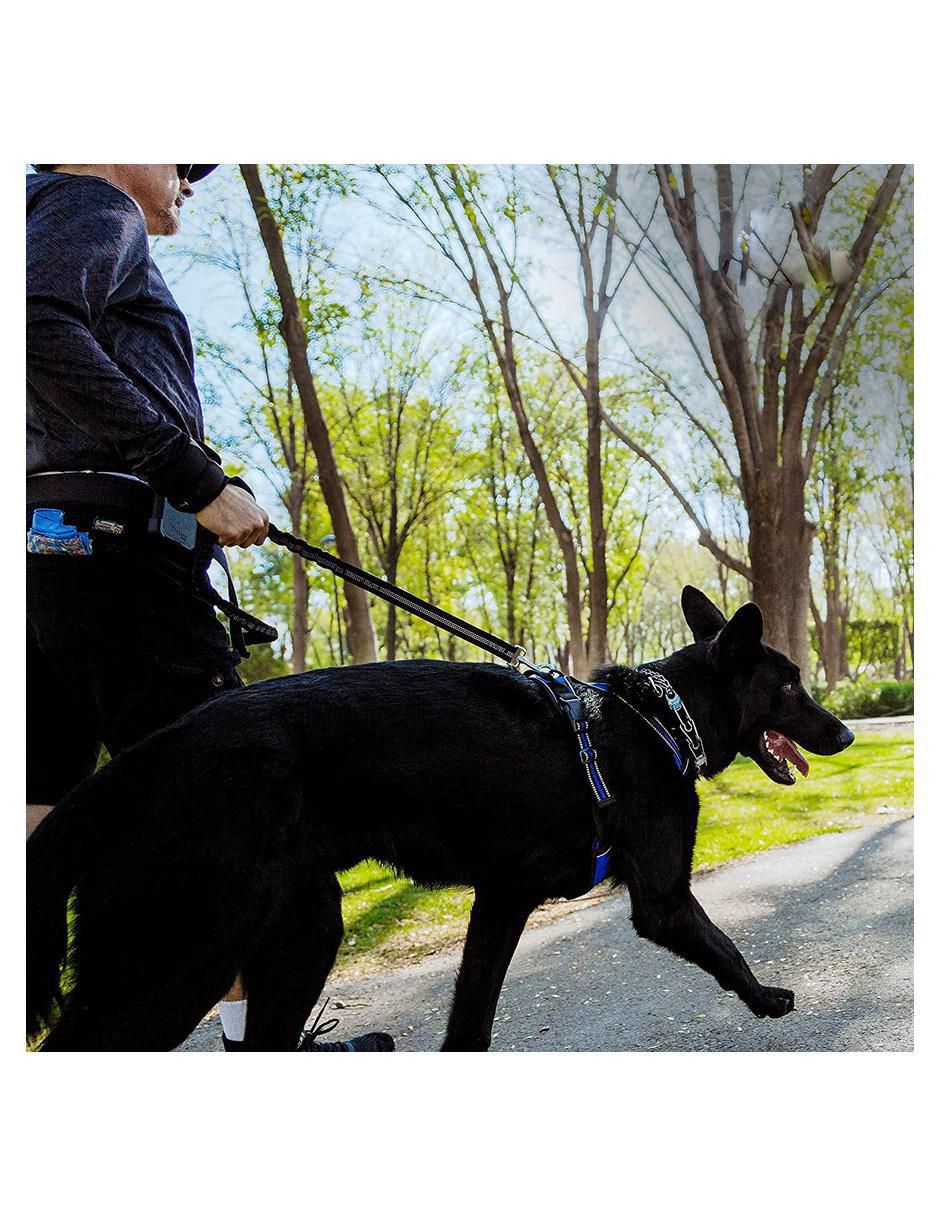Correa de nylon de paseo para perro 6
