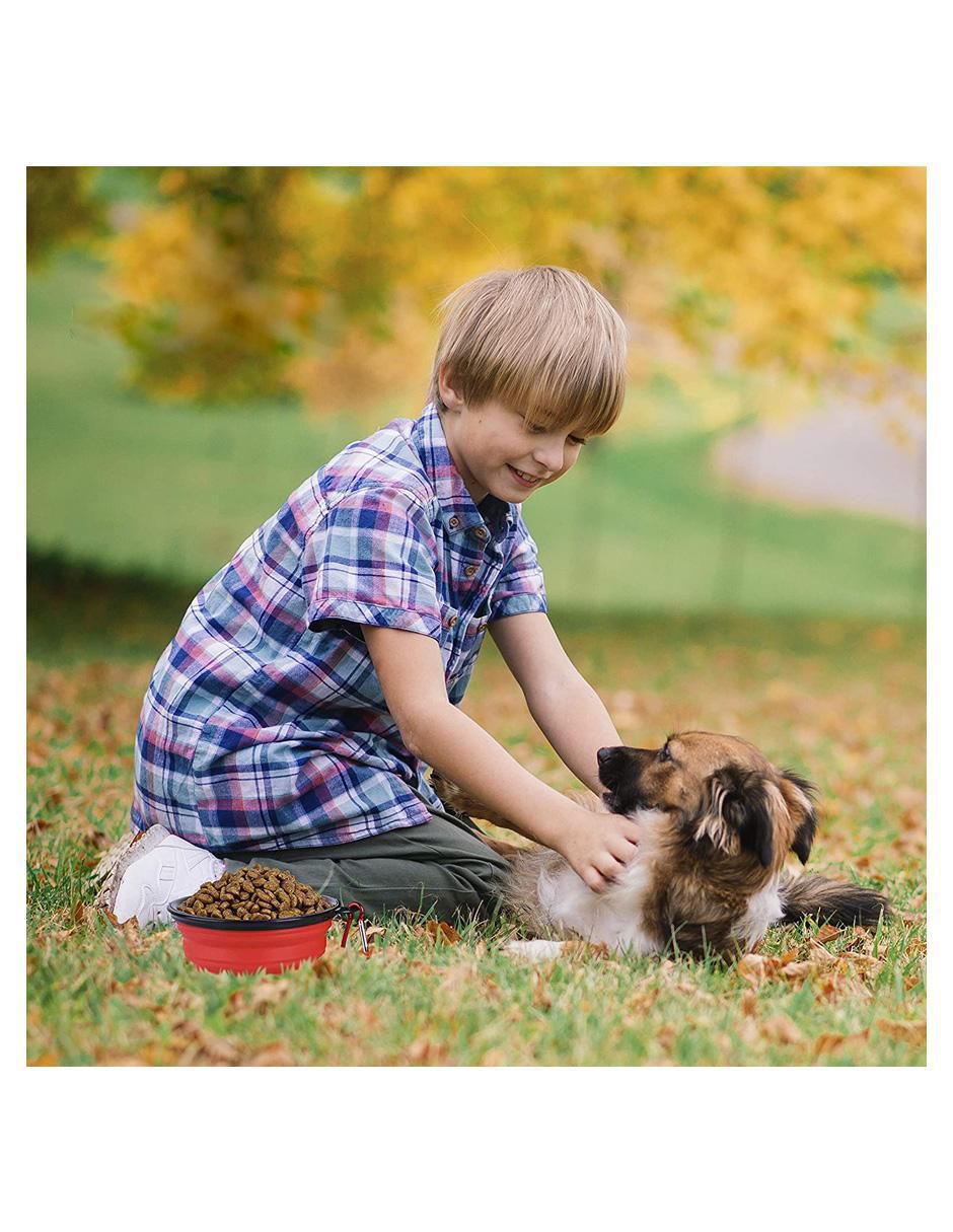 Plato para mascota 6