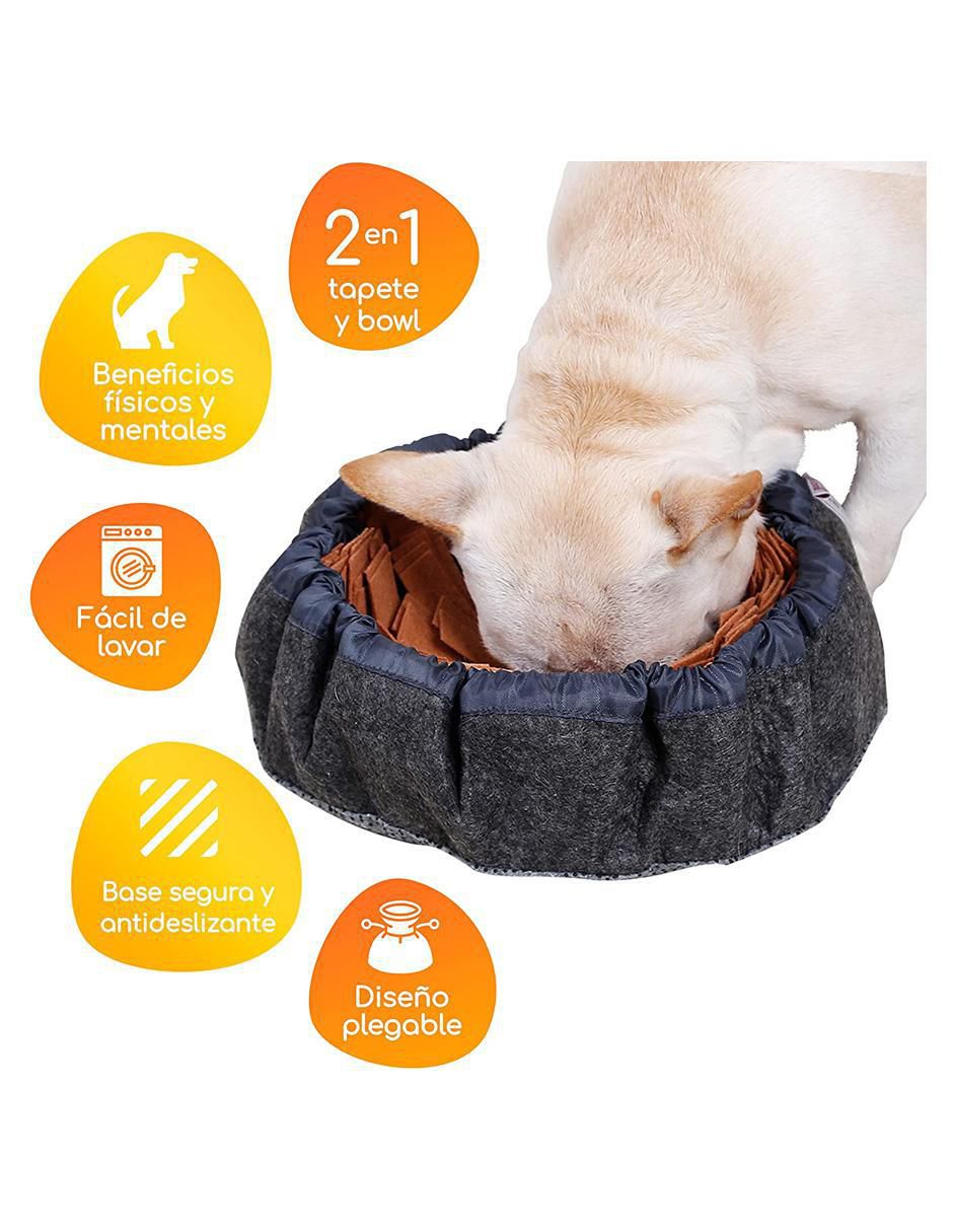 Plato para mascota 5