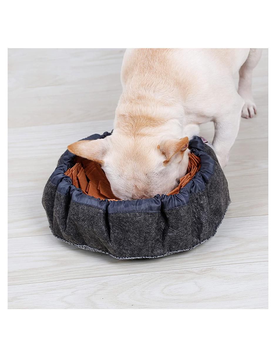 Plato para mascota 6