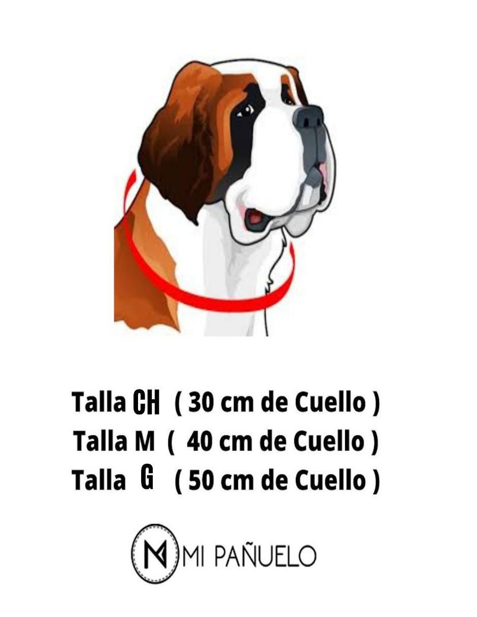 Pañuelo para mascota Mi Pañuelo
