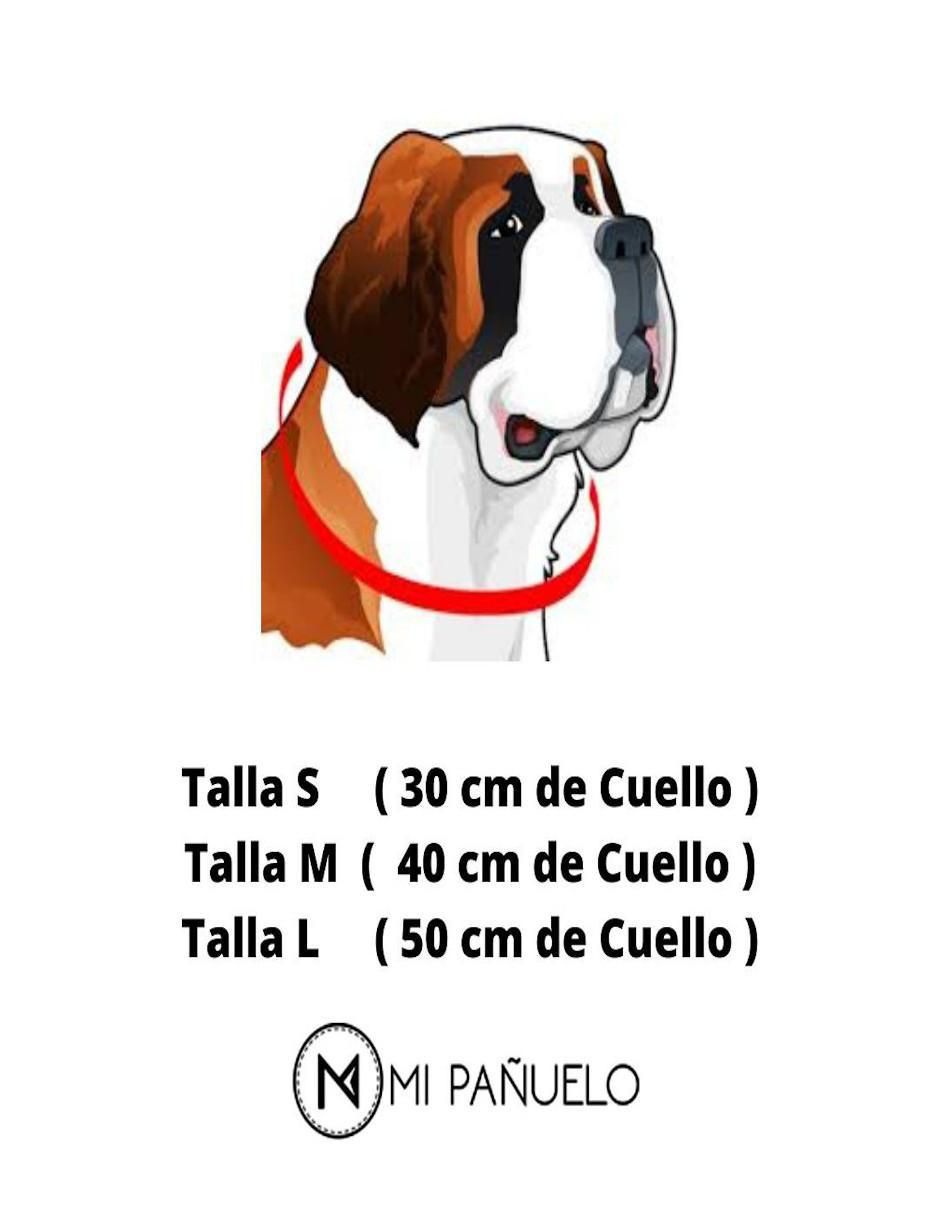 Pañuelo para perro 3