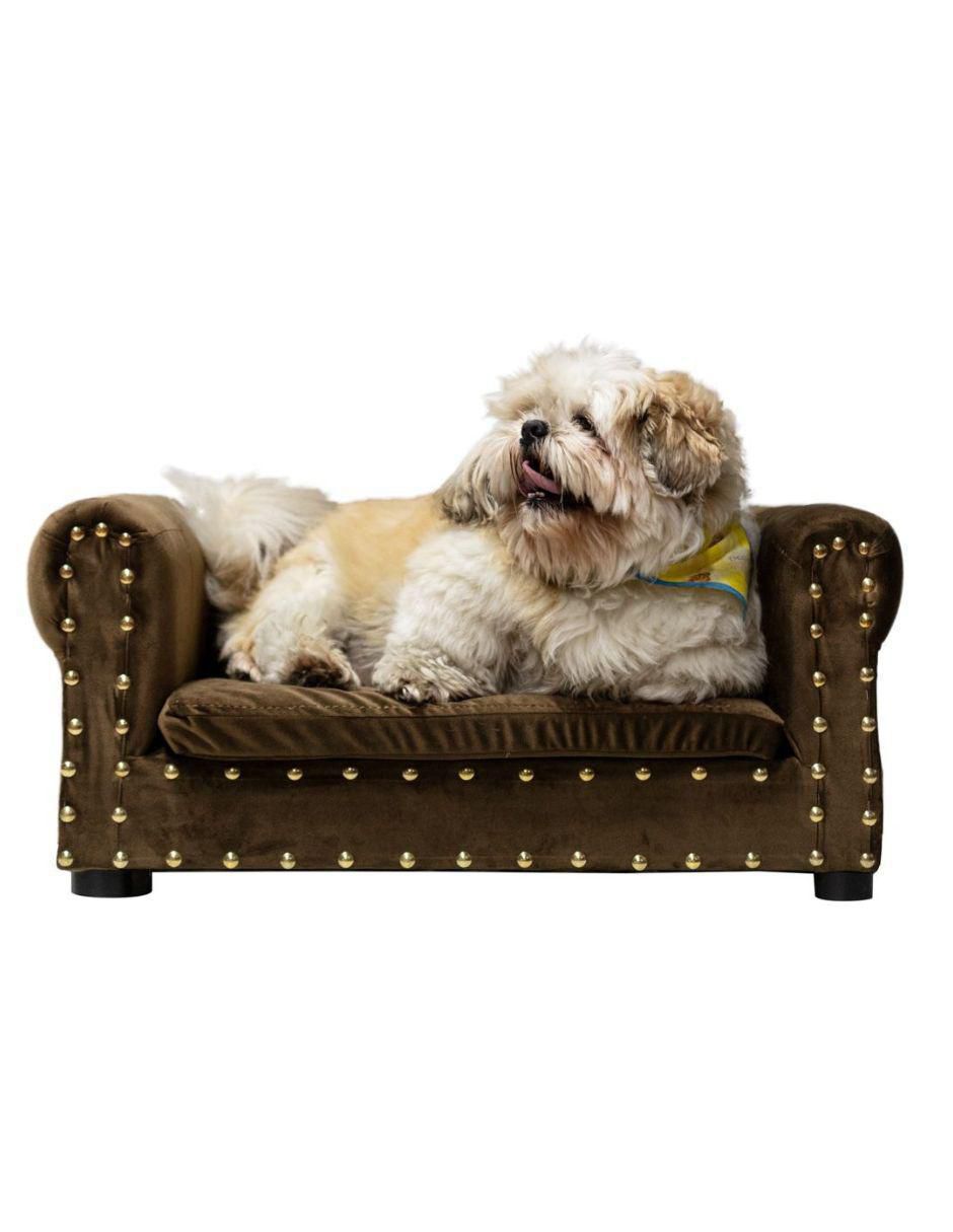 Cama para perro