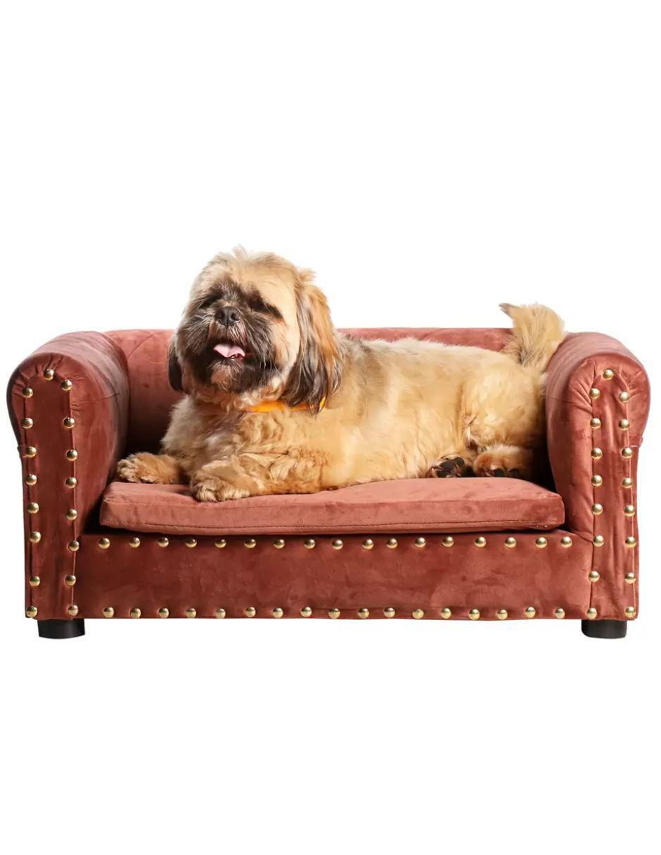 Cama para perro