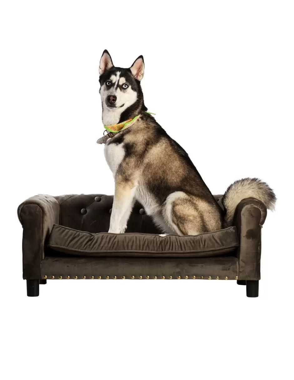 Cama para perro