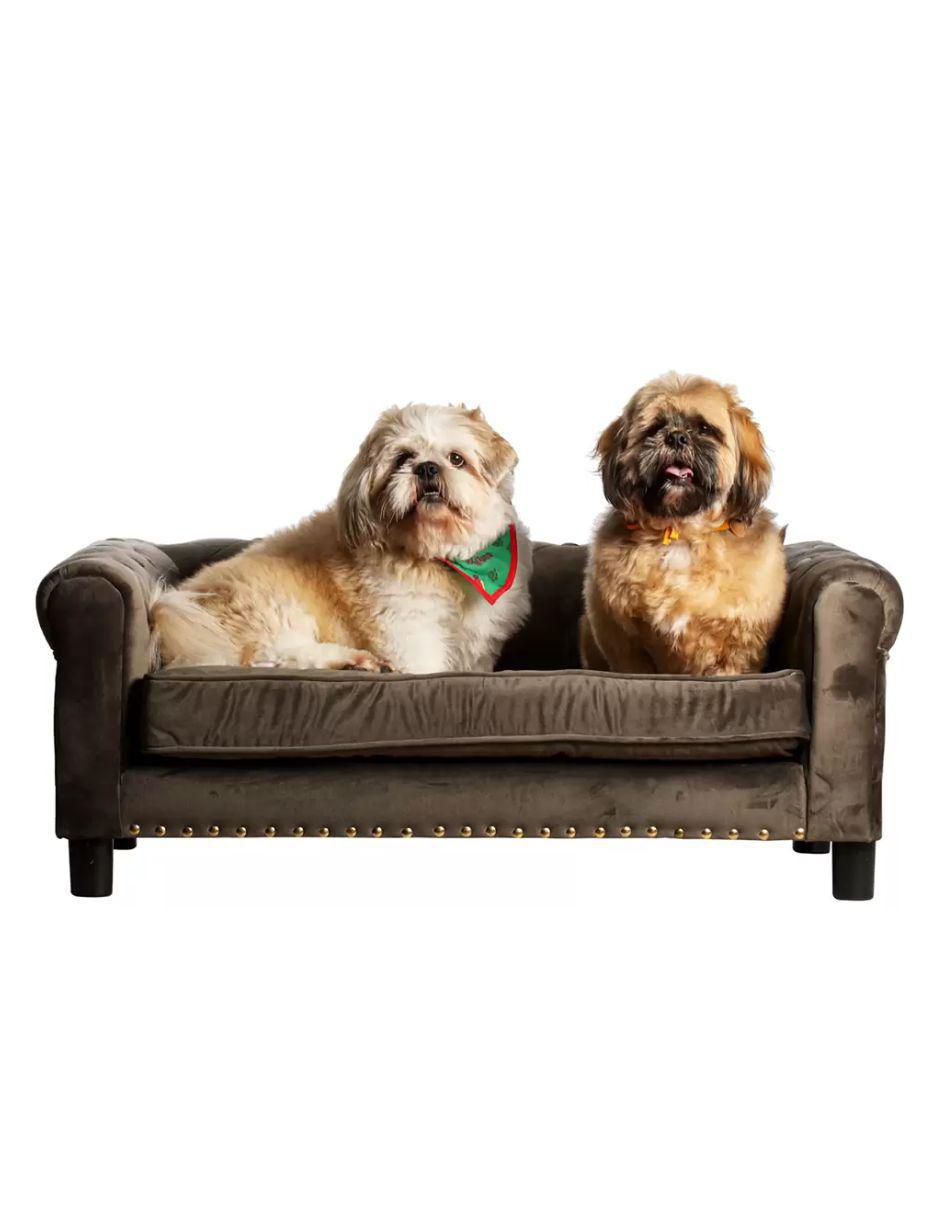 Cama para perro