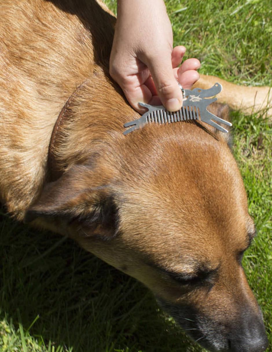 Peine de acero para perros 2