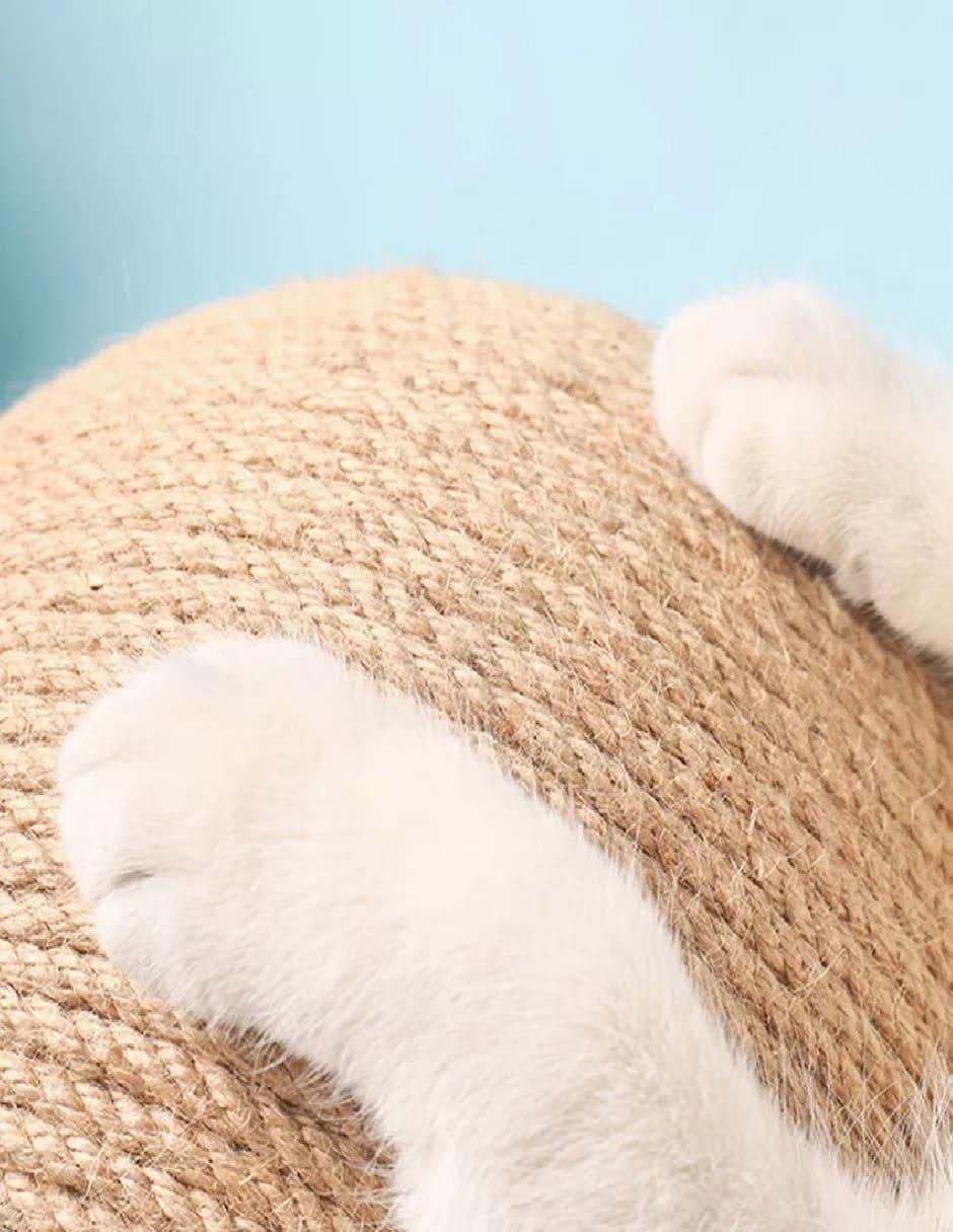 Rascador para gato 2