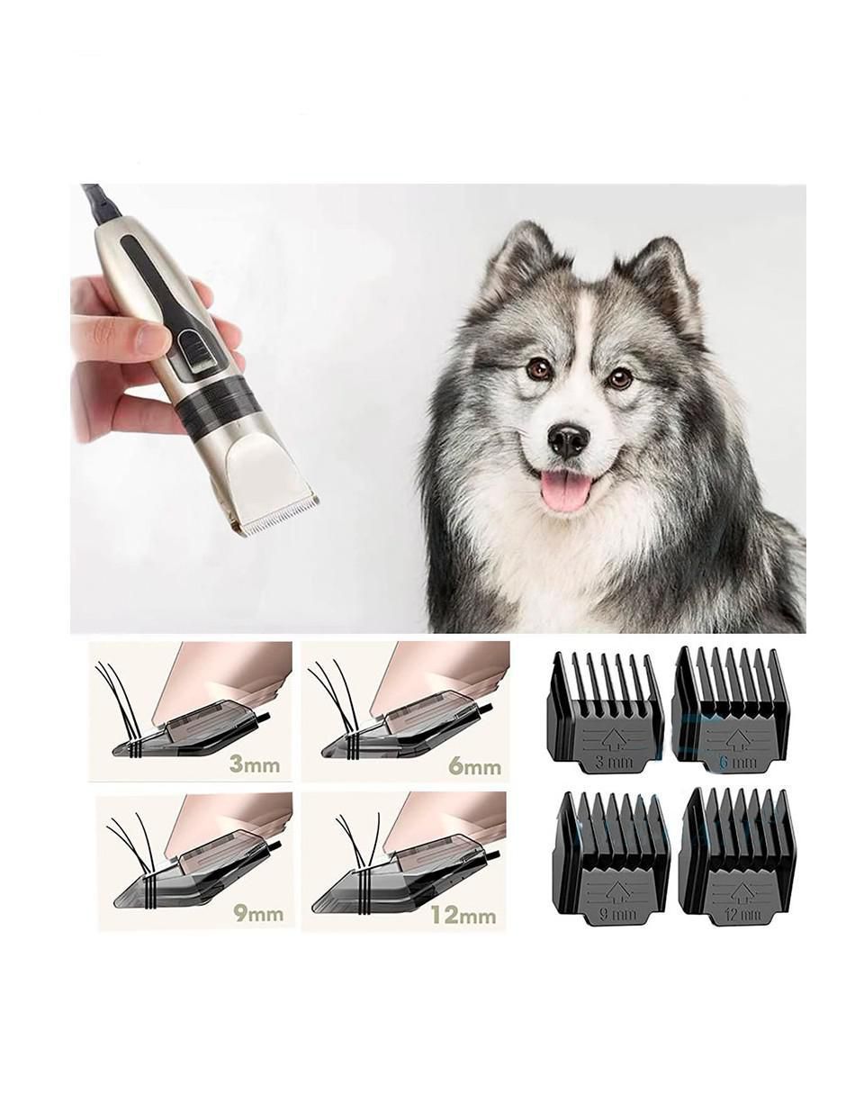 Kit rasuradora para mascota