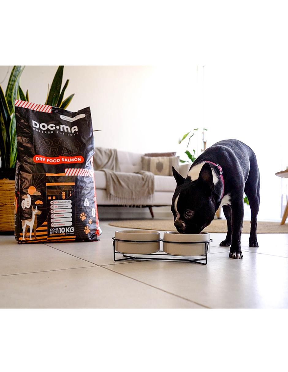 Croqueta de salmón para perro todas las etapas contenido individual 20 kg 6