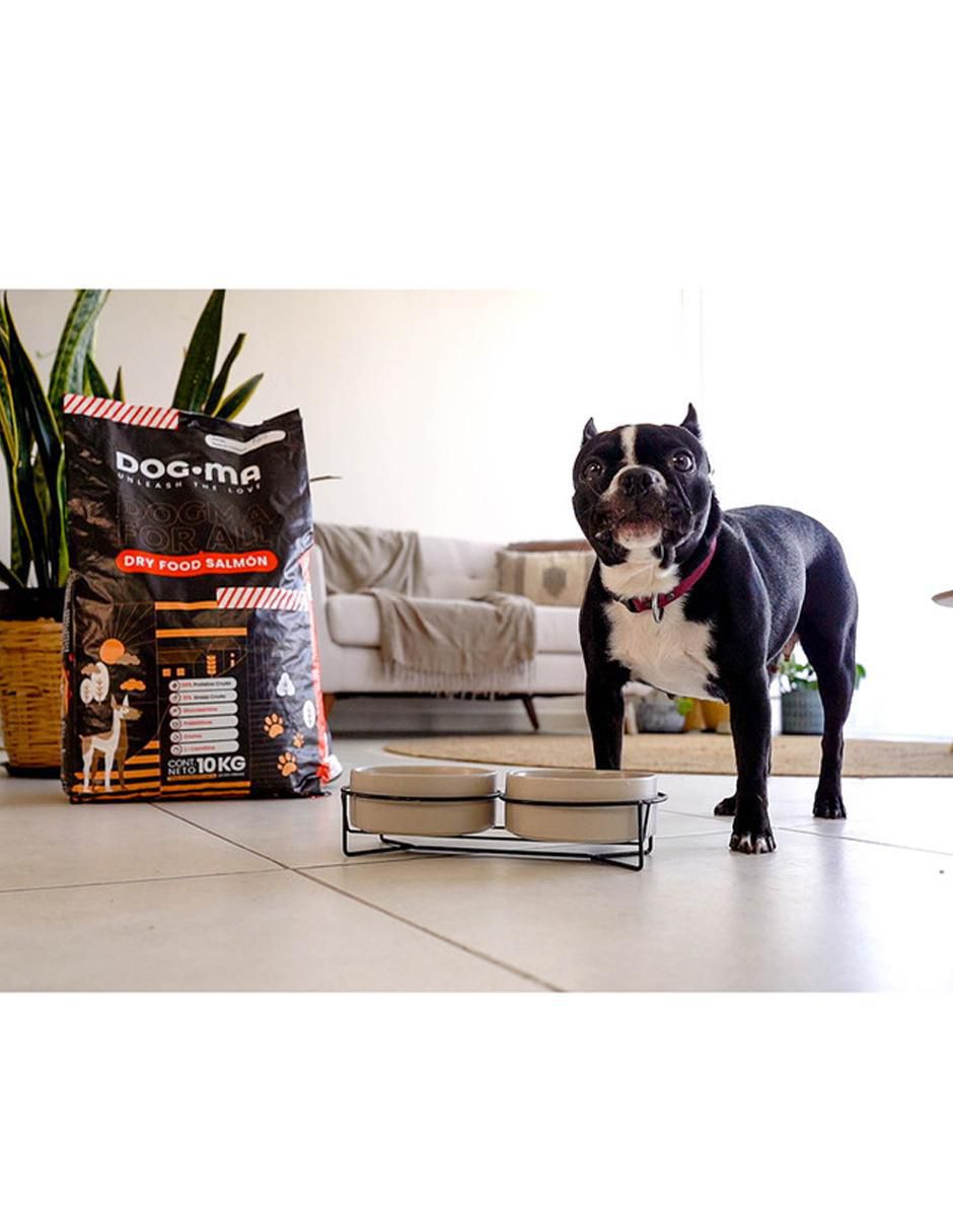 Croqueta de salmón para perro todas las etapas contenido individual 10 kg 7