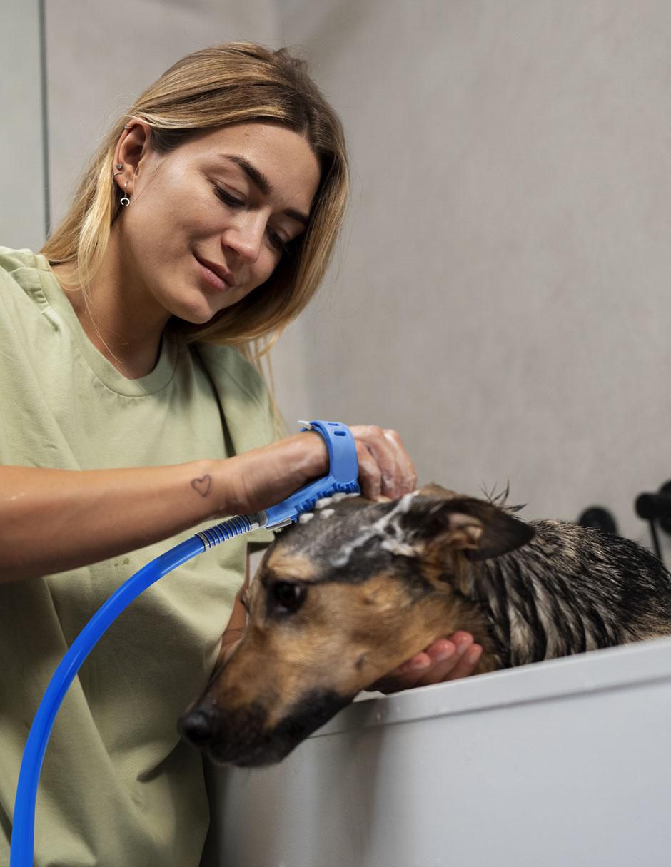 Guante Idea Nuova de silicón para mascota