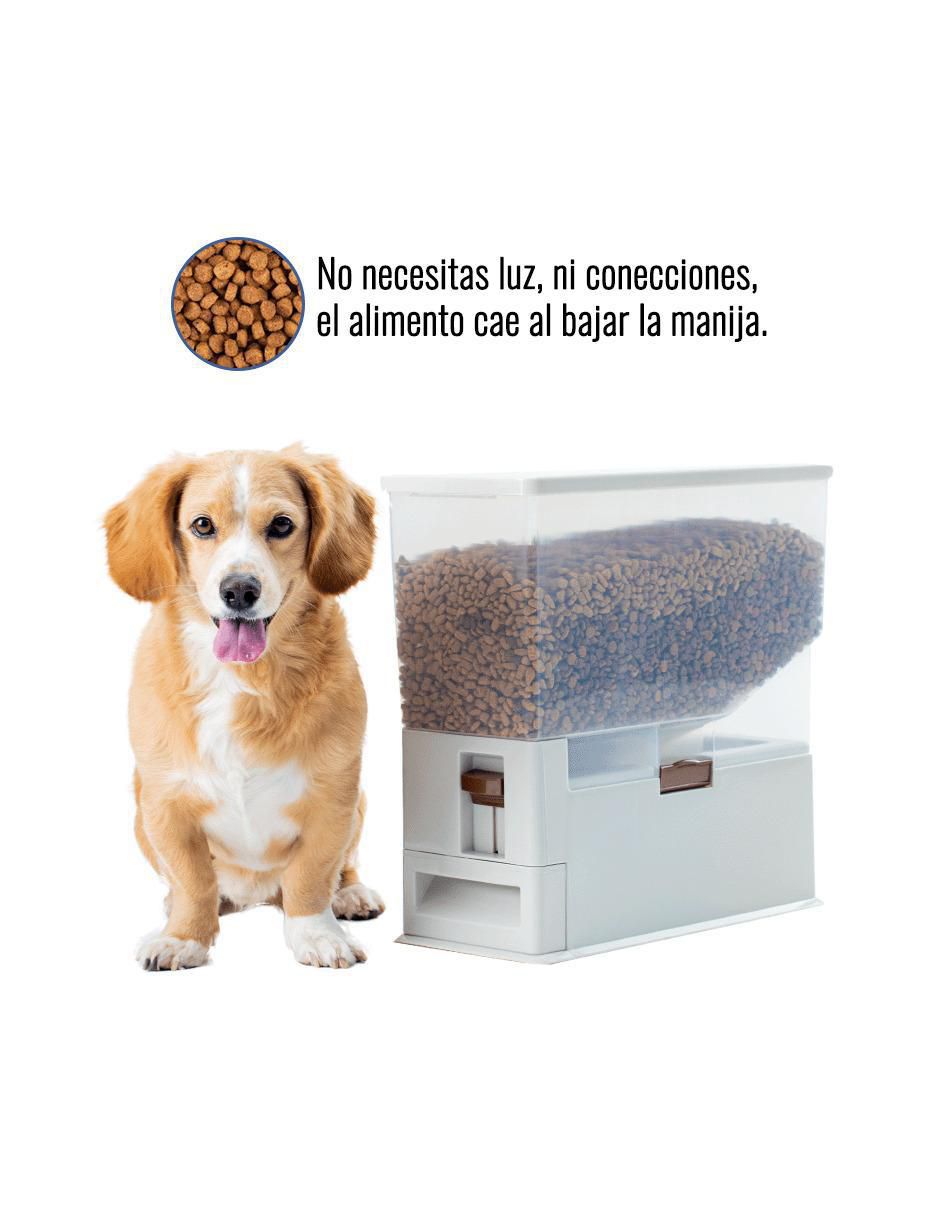 Comedero para perro 5