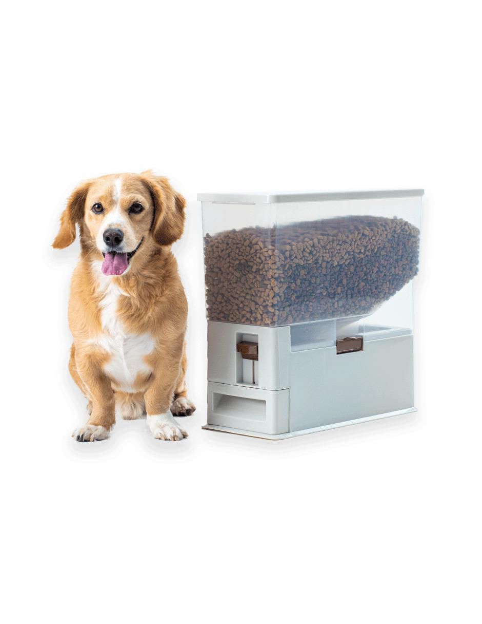 Comedero para perro 6
