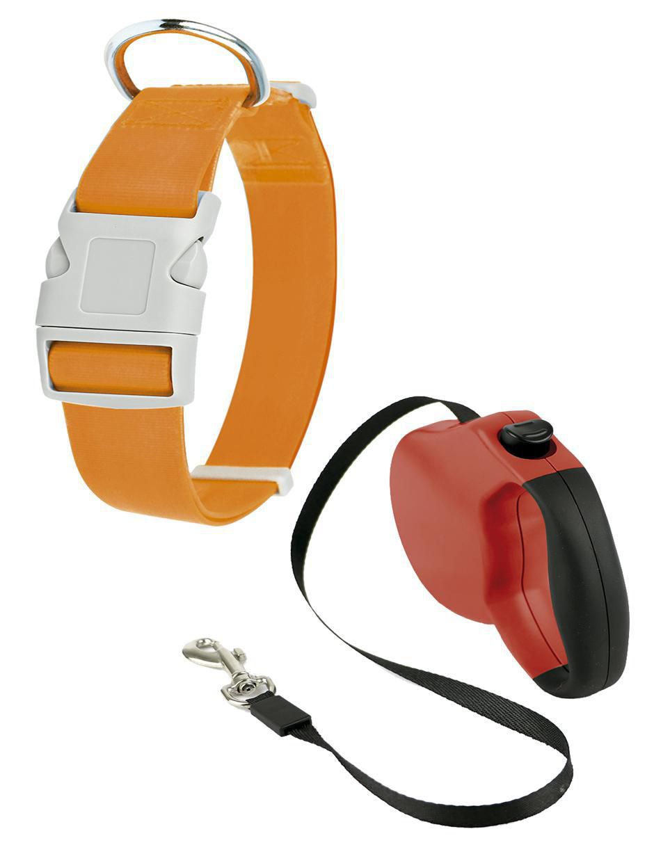 Correa y collar para perro