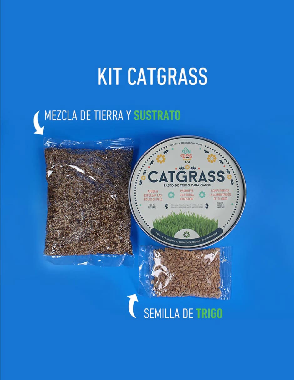 Pasto para gato