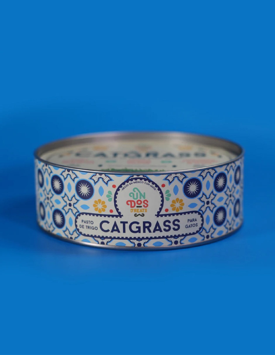 Pasto para gato