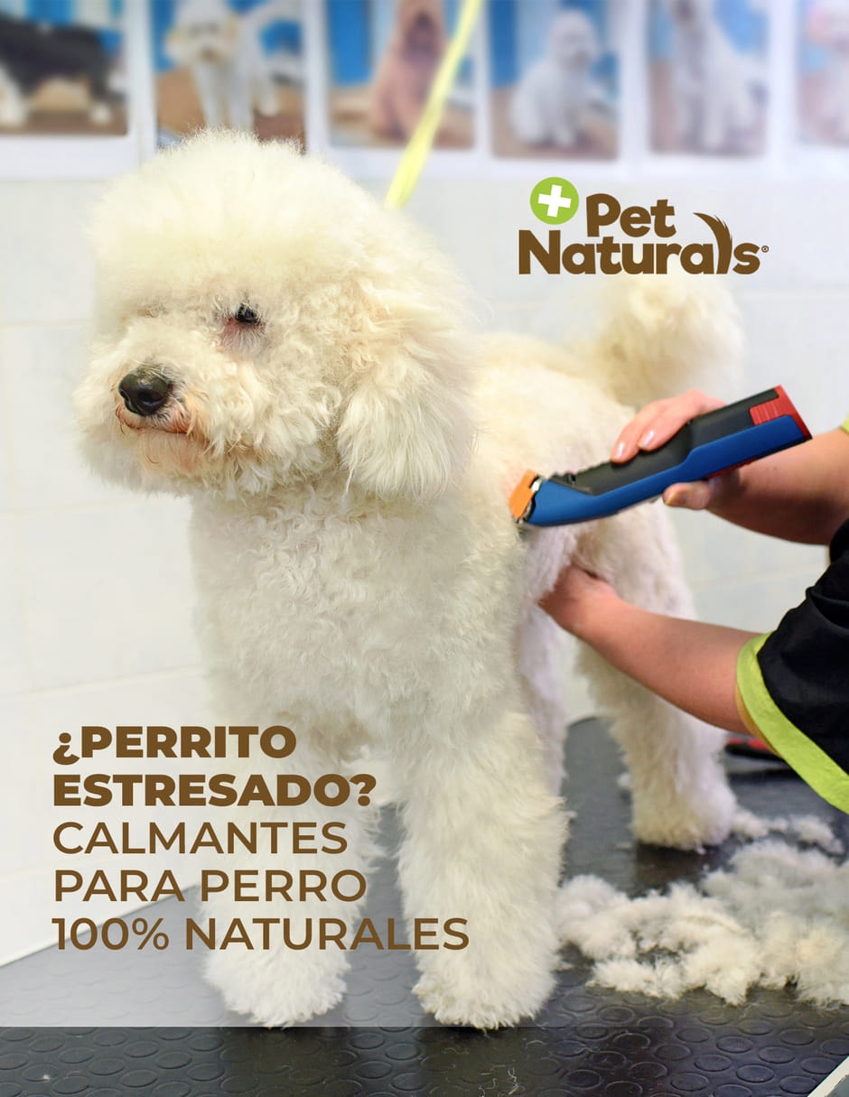 Calmante para mascota para perro contenido 31.5 g 4