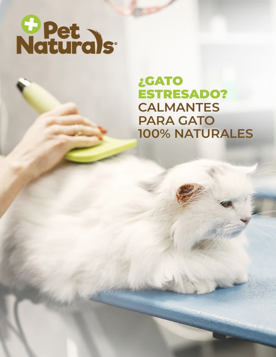 Calmante para mascota para gato contenido 31.5 g 2