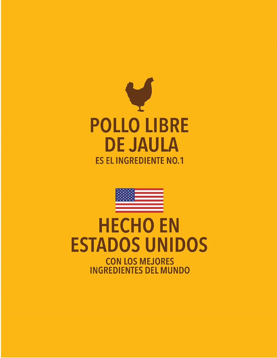 Alimento húmedo de Pollo para gato todas las etapas contenido 100 g