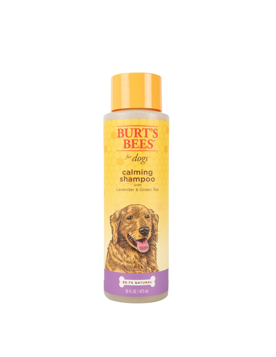 Shampoo Burt's Bees para perro