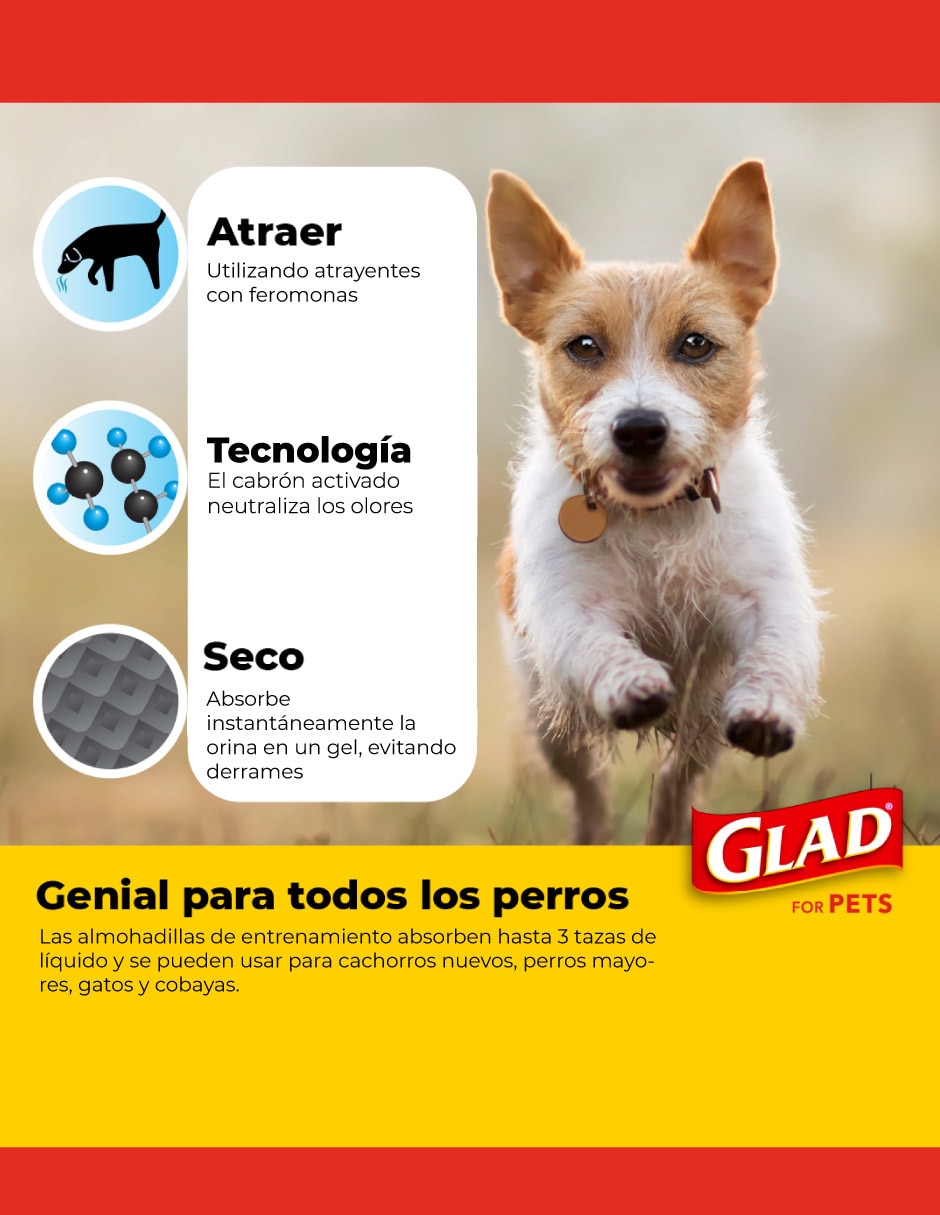 Tapete entrenador para perro Tapete entrenador para perro