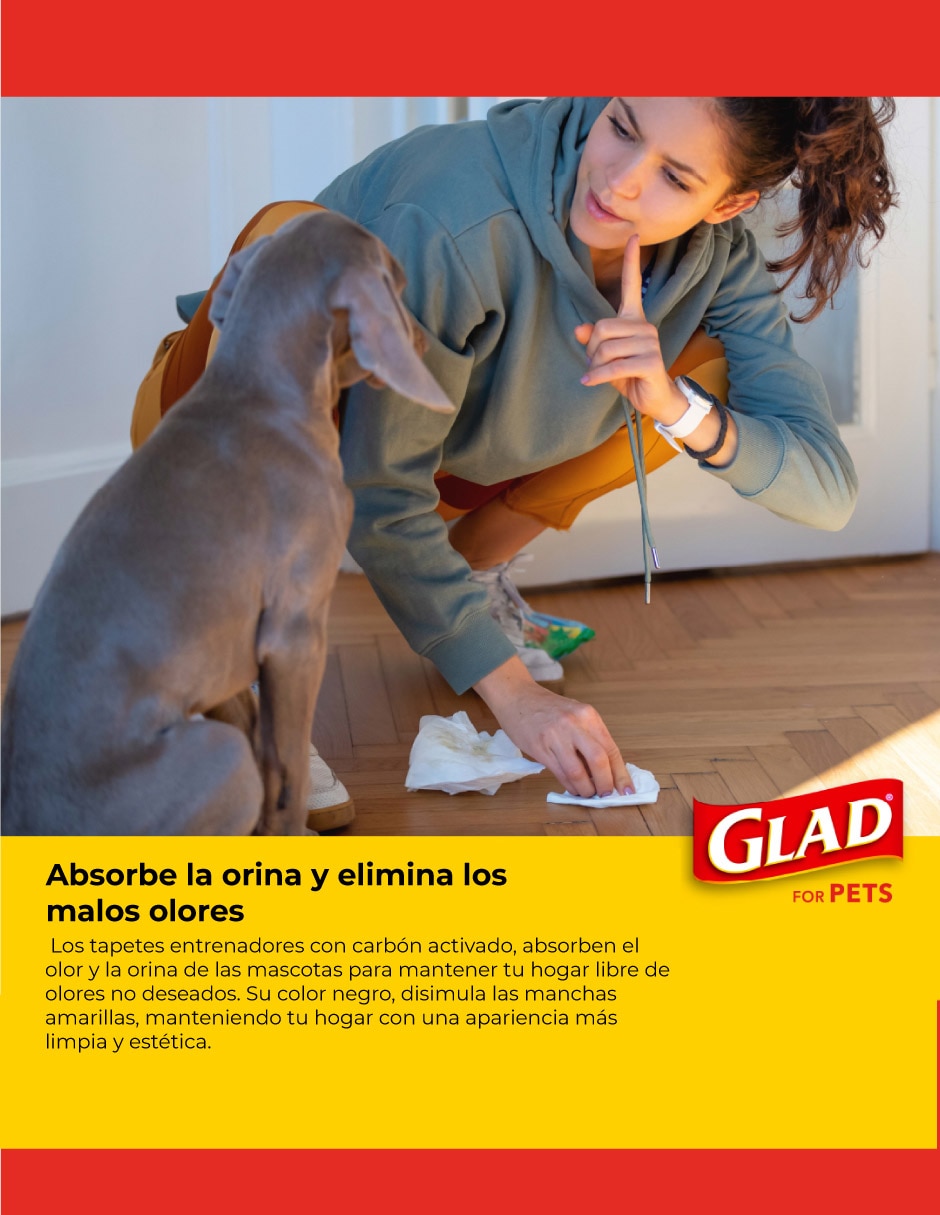 Tapete entrenador para perro 7
