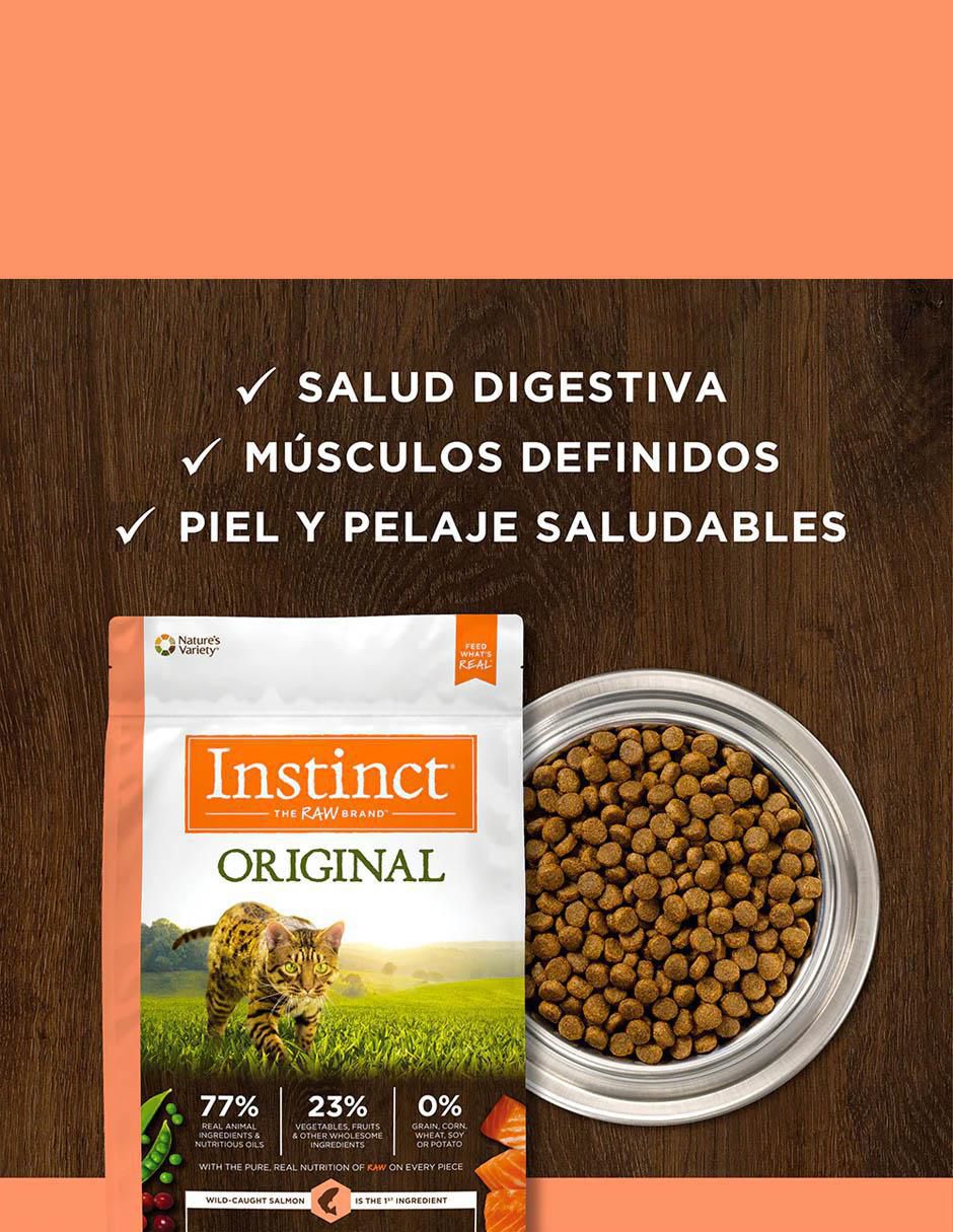 Croqueta de carne para gato todas las etapas contenido individual 2 kg 5