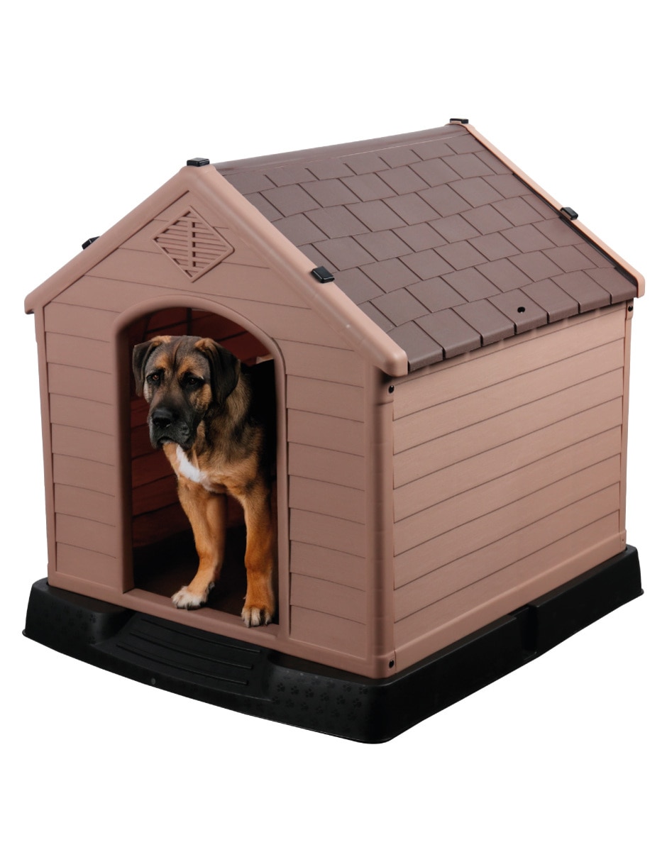Casa para perro