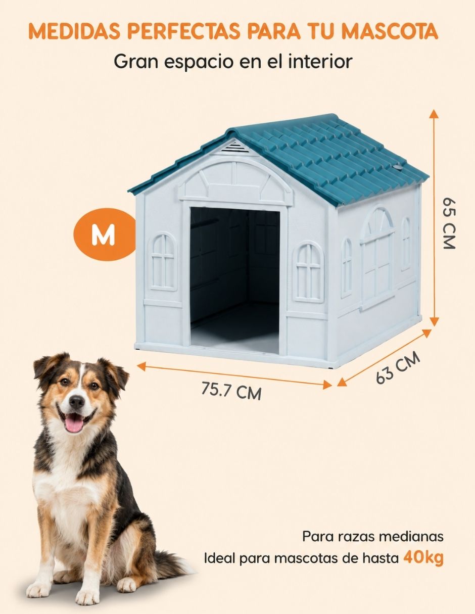 Casa para perro 8