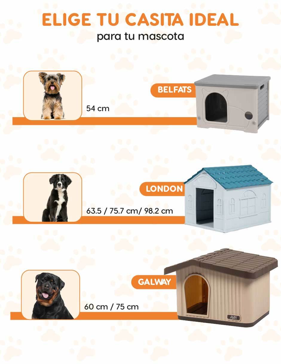 Casa para perro 3
