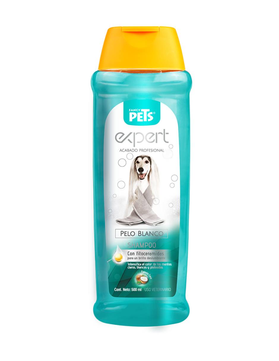 Shampoo 1