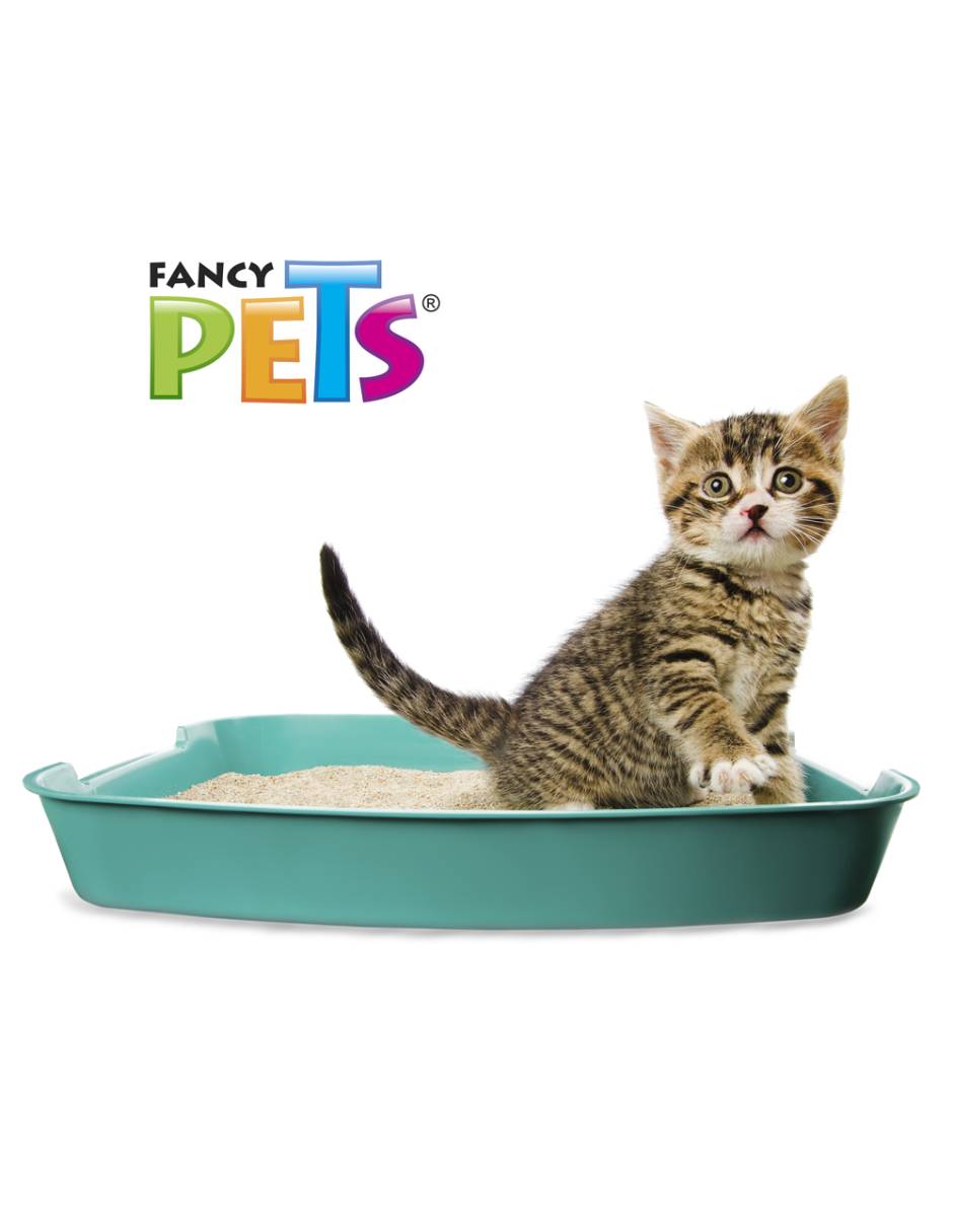 Arena para gato