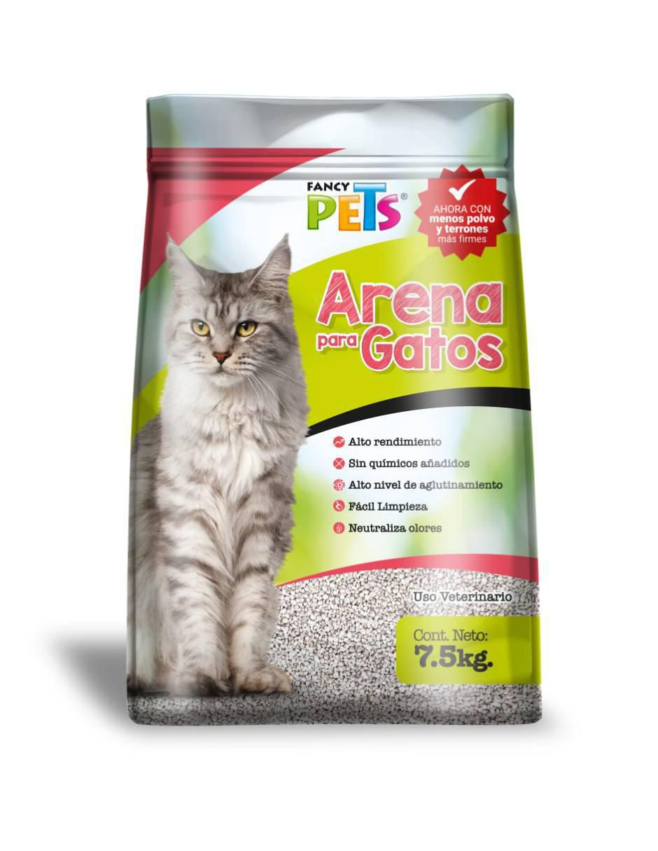 Arena
